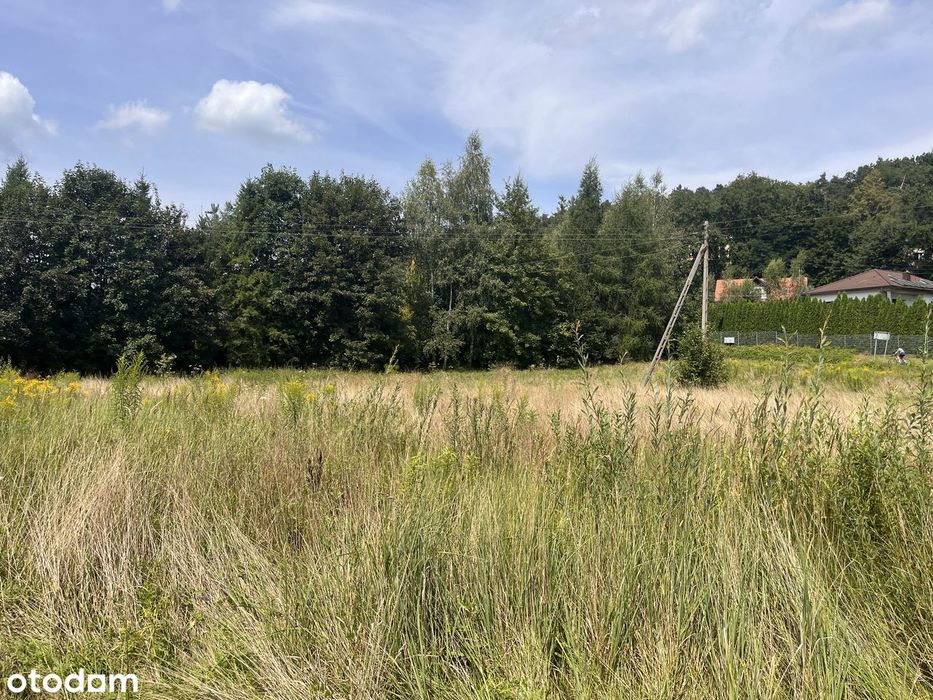 Radziszów, Podlesie | działka 817 m² | wjazd prosto z asfaltu - Widok 4