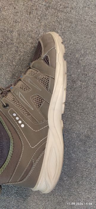 Ecco terracruise lt