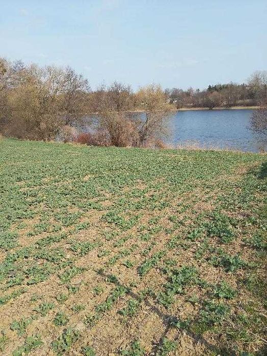 Działka nad jeziorem z linią brzegowa - Więcej
