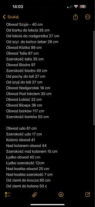 Sprzedam pelny zestaw zbroja Protector + przeszywanica