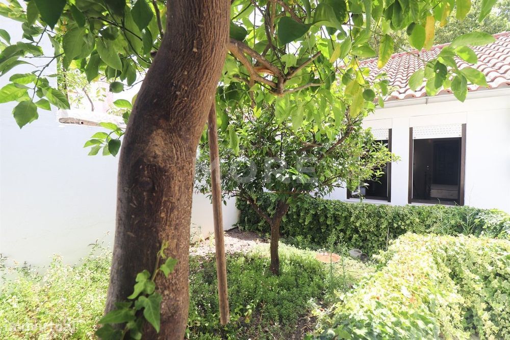 Moradia T3 com Quintal e Garagem - Évora