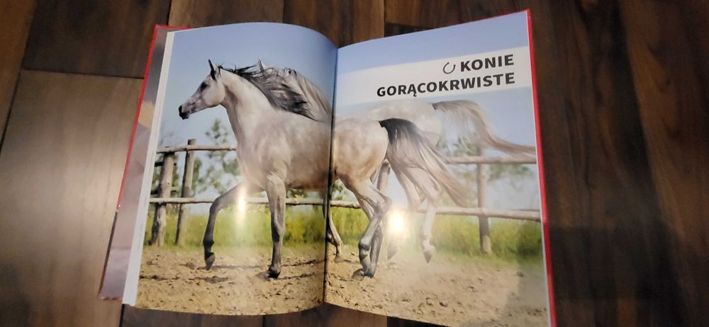 Konie. Biblioteka wiedzy.