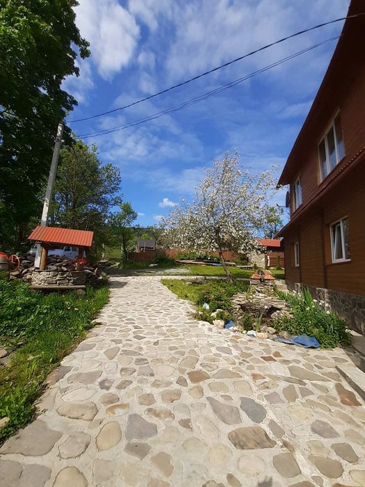 НОВИЙ РІК ВІЛЬНО.Два брати ЕКО. будинок або окремі кімнати.ЧАНИ.