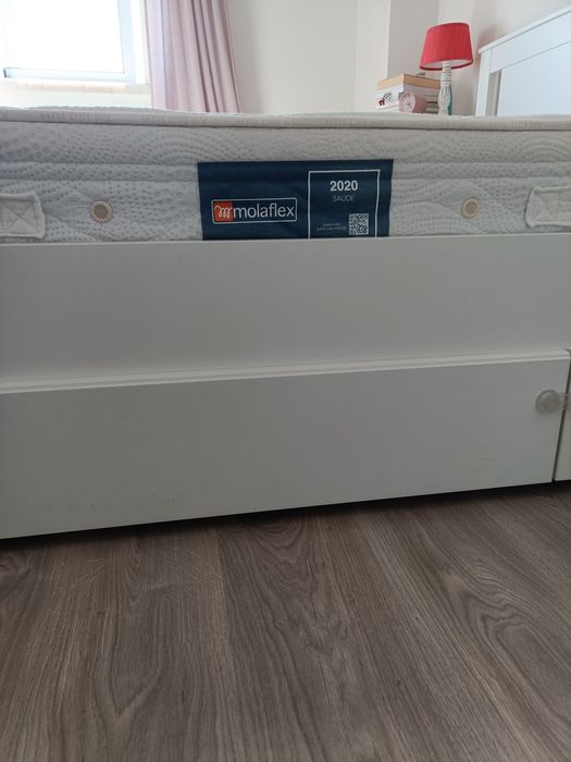 Colchão Molaflex 2020 Saúde/Coluna  140x200cm