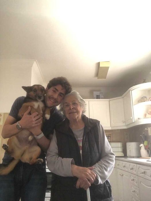 Acompanhante de Confiança para Idosos - Disponível Diariamente