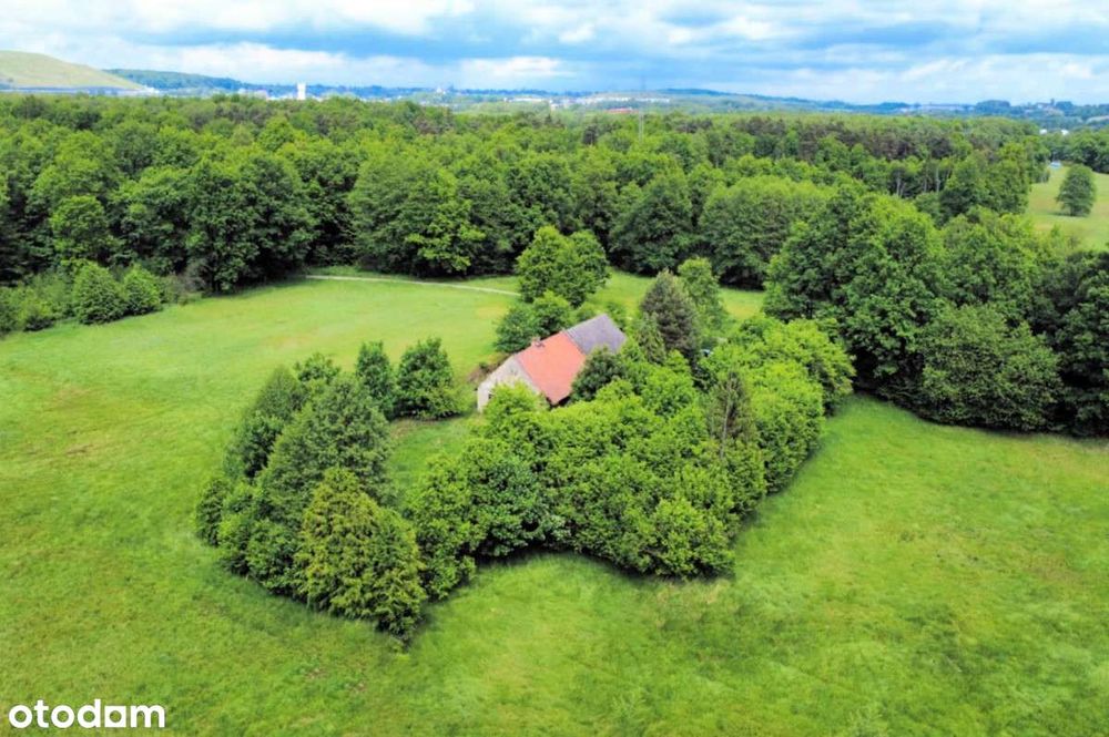 Siedlisko, była leśniczówka Lasów Państwowych bez sąsiedztwa, 2007 m2