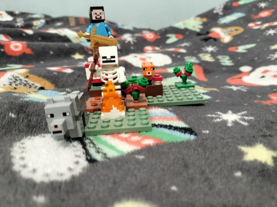 LEGO Minecraft. Numer 21162