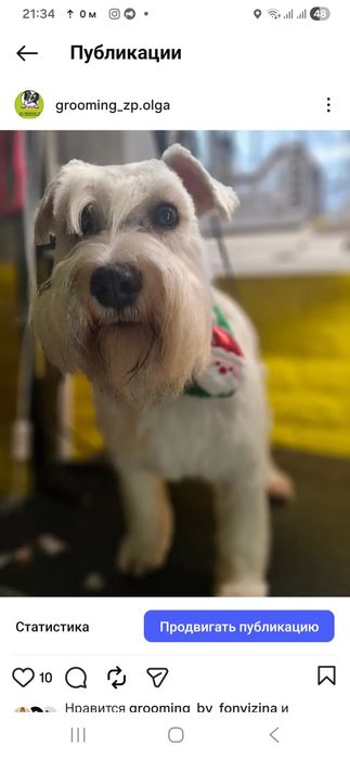 Стрипінг професійно