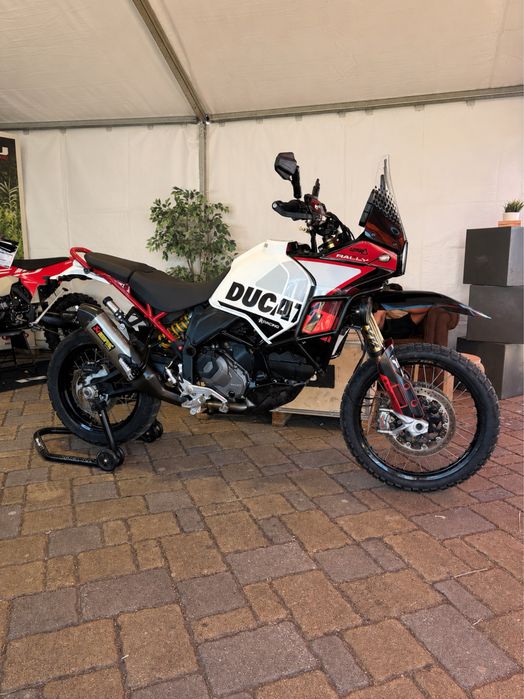 Ducati desert x rally