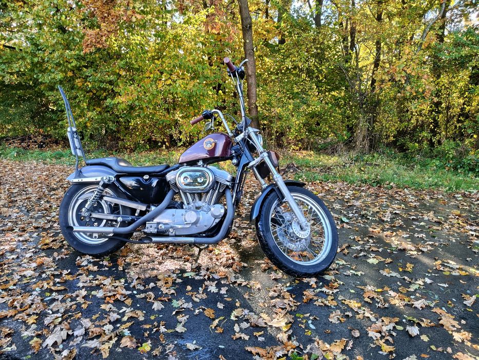 Harley Davidson Sportster 883