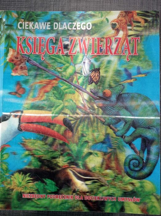 Ciekawe Dlaczego Księga Zwierząt