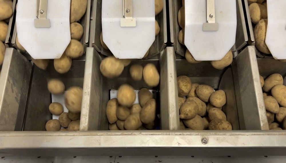 Waga HIGHTEC R12L z podwójnym przenośnikiem – 2 maszyny pakujące