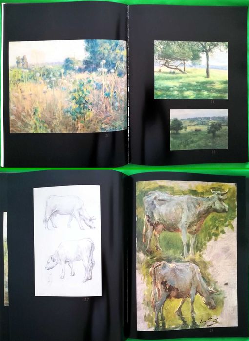 Souza Pinto / exposição no Palácio do Correio Velho