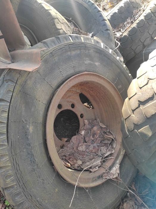 Колеса в сборе ГАЗ 66 53 3307 3309 ЗИЛ 130