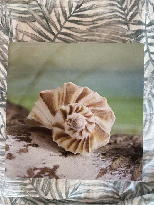 Quadros com motivos marinhos64550772075779120