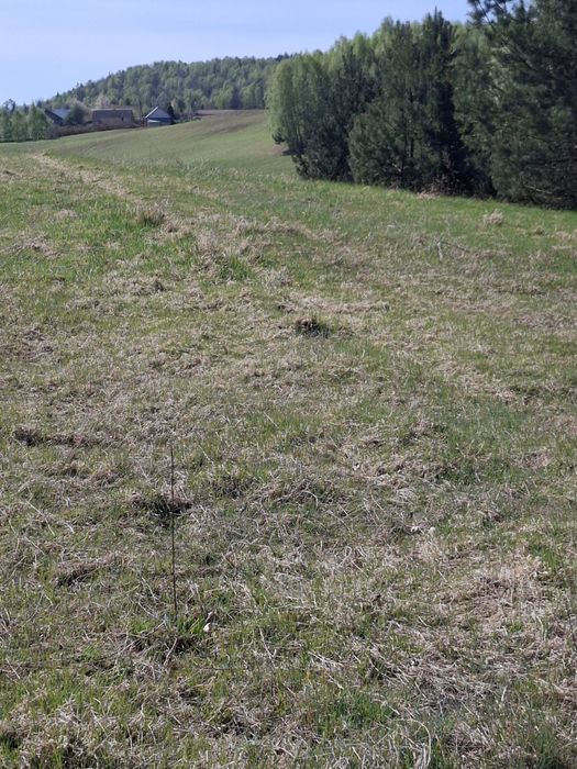 Działki budowlane