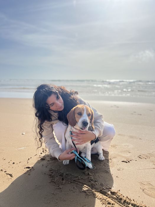 Dog Walking / Pet Sitting