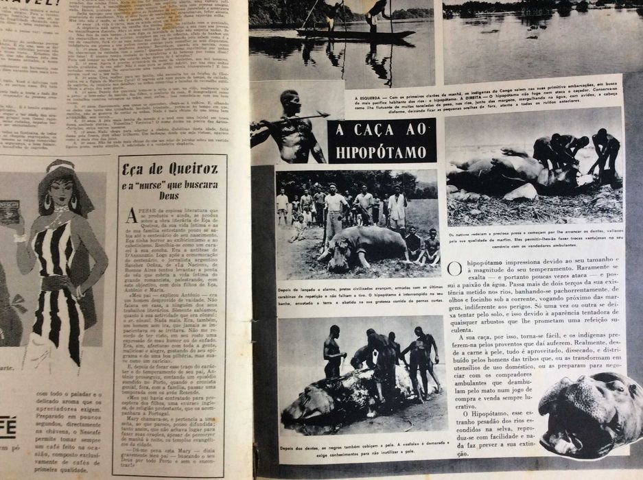 Portugal ilustrado, ( atualidades, documentários, etc.), 1954