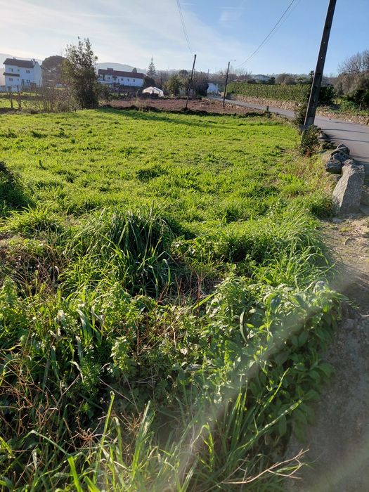 Land for Sale in São Pedro Alvito