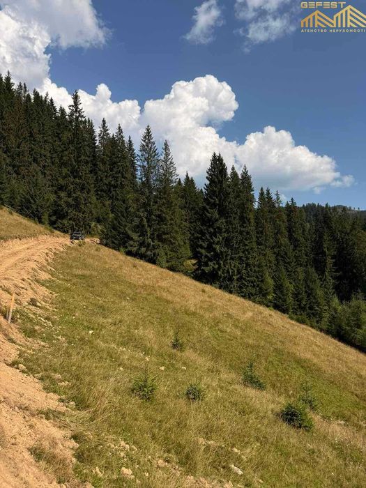 Кривопілля. 28сотих. Нерухомість. Земля. Карпати. Верховинський район