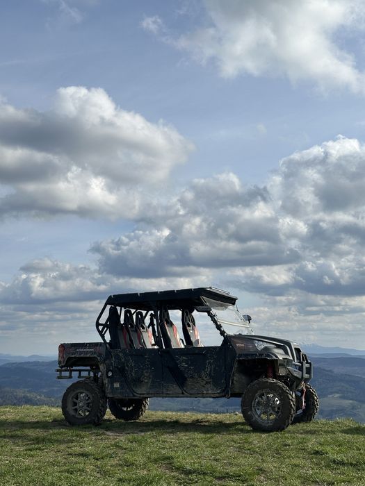 Баггі Odes 1000 баги