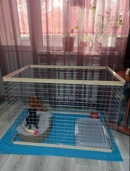 Манеж, Вольер, Клітка, Клетка для собак, Котов, кощек, щенков, кроликі