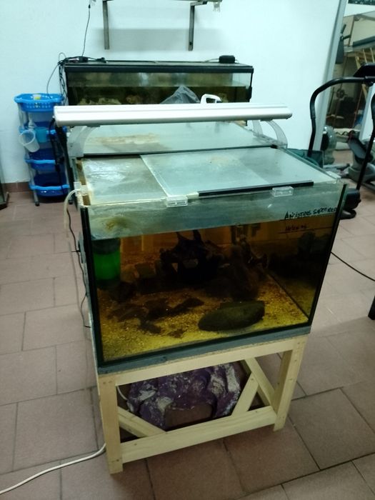 Aquário Cubo com Estrutura