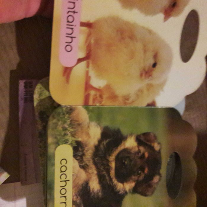 Os amigos animais da quinta raro formato livro infantil