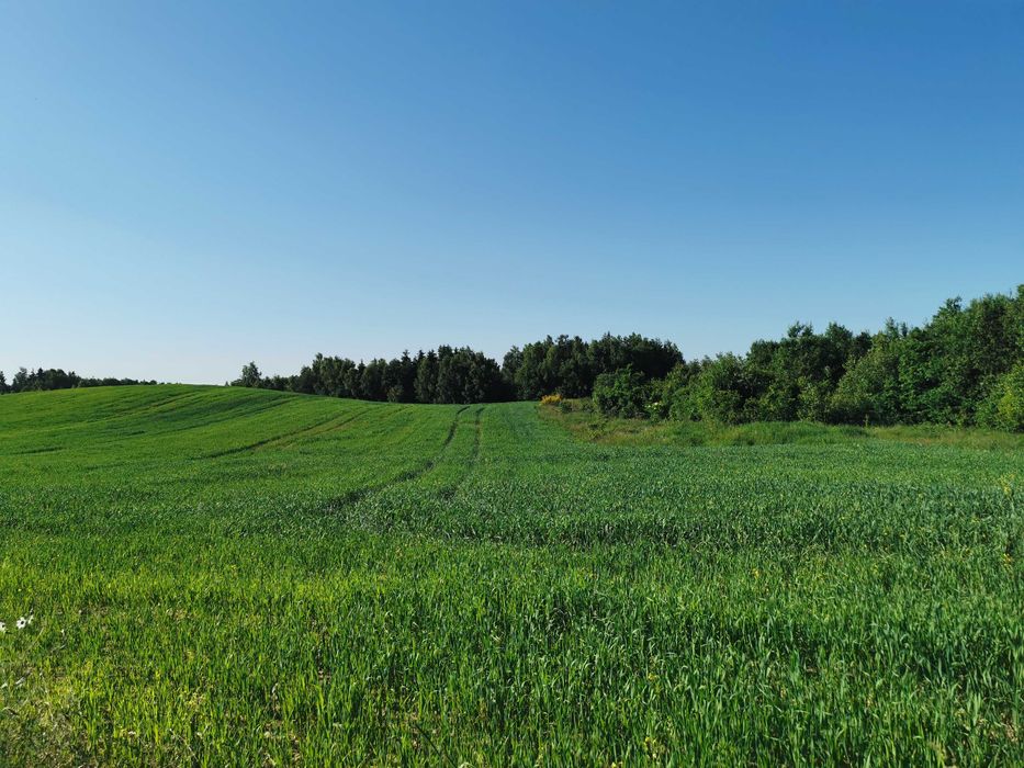 Sprzedam działkę budowlaną