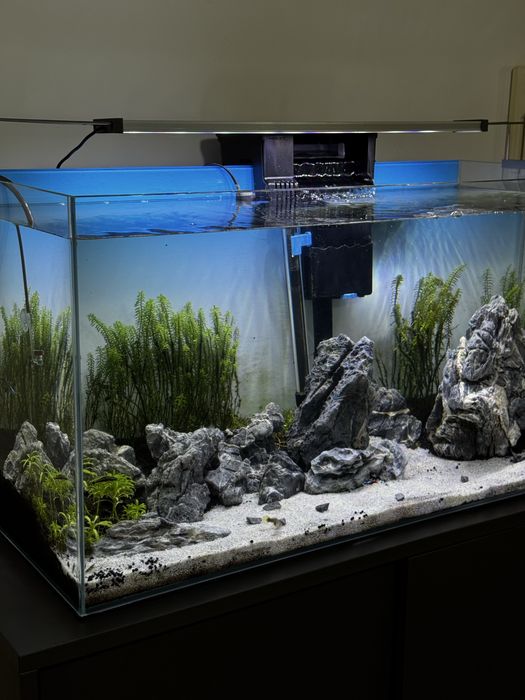 Aquário 120L COMPLETO com móvel +Kit  CO2 + plantas