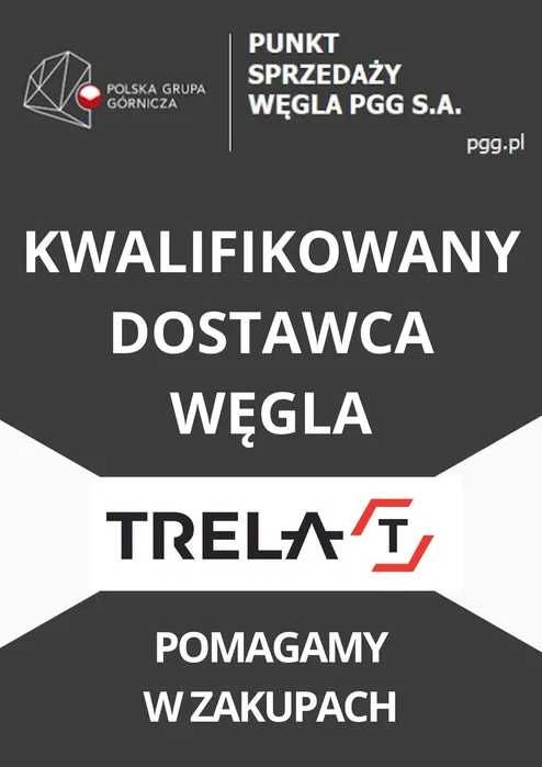 Polski węgiel: kostka, orzech - Mysłowice-Wesoła, Piast, Ziemowit inne