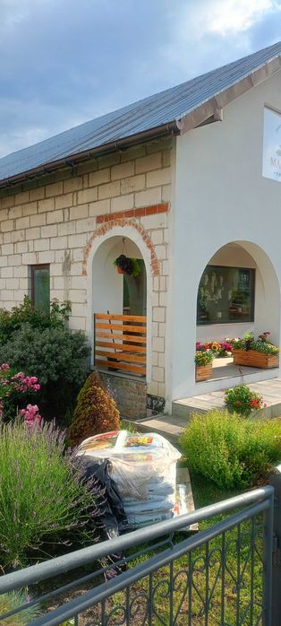 Lokal użytkowy wynajem