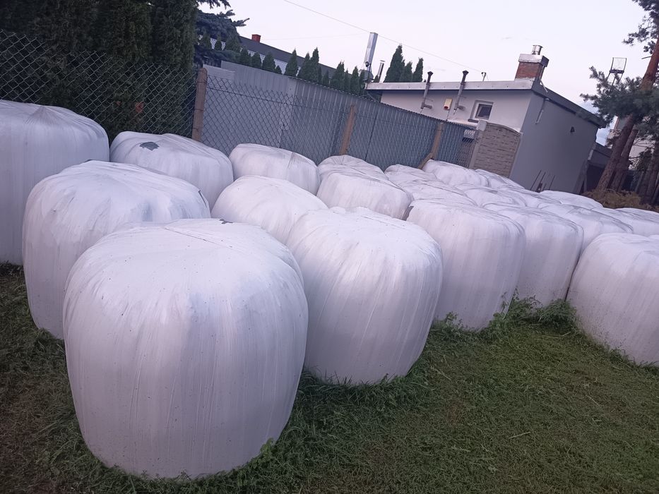 Sprzedam belki sianokiszonki