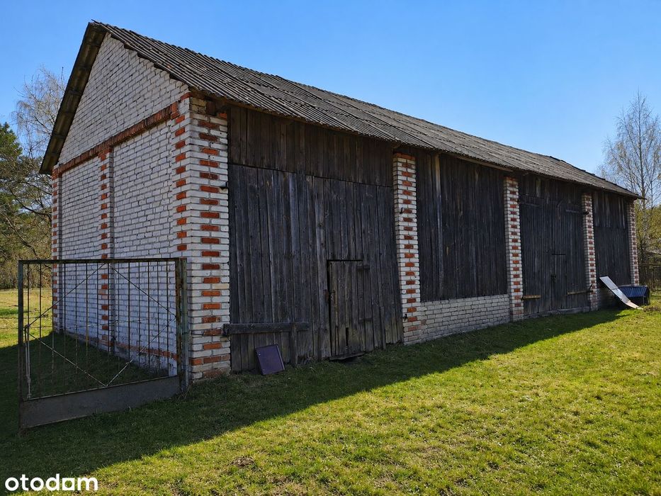 Siedlisko z potencjałem – działka 3835 m² | Chmielnik, gm. Bełżyce - Widok 3