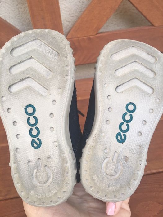 Ecco first light 21