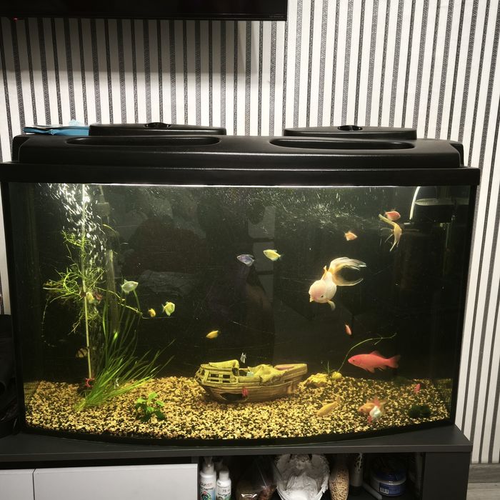 Продам аквариум на 200 литров