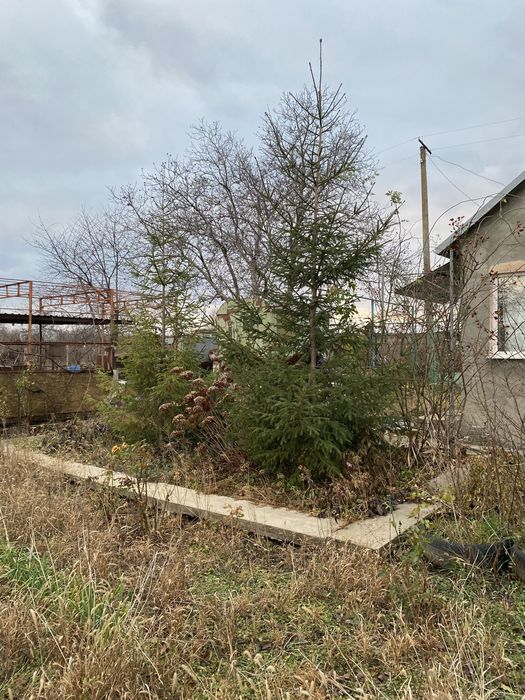 Будинок за адресою (площа 45 м²) - Atlanta.ua - фото 3