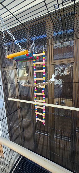 Gaiola grande com brinquedos