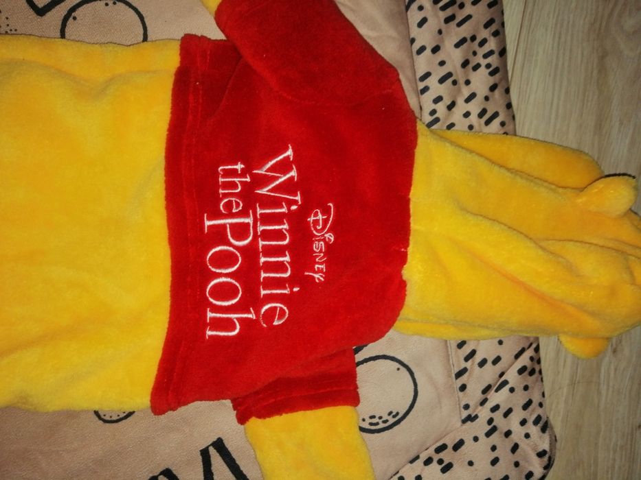 Pajacyk Kubuś puchatek