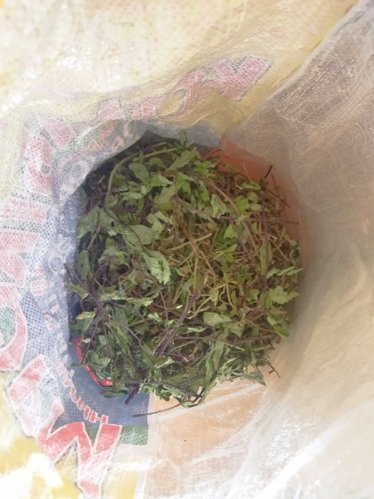 Ментолова м'ята перцева сушена ментол мохіто