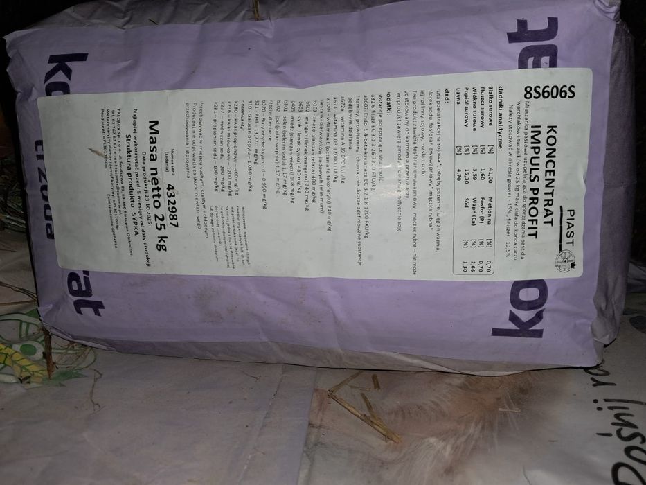 Koncentrat Piast i Wama