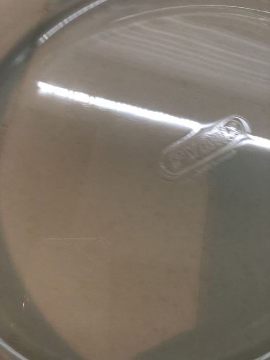 Assadeira da marca Pyrex