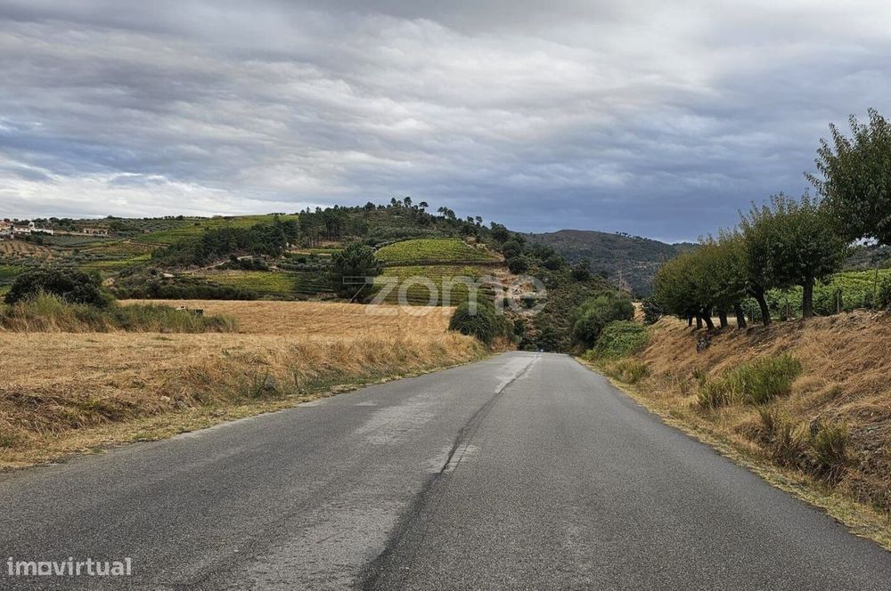 Terreno rústico , Murça