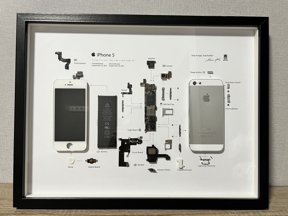 Картина з розібраного iPhone 5 | Hand-made | 2ndLife Frame 5