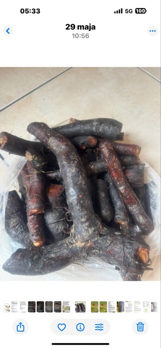 Maść z żywokostu na gęsim smalcu 120 ml