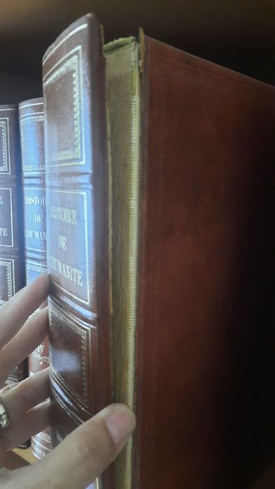 Histoire de l'humanite