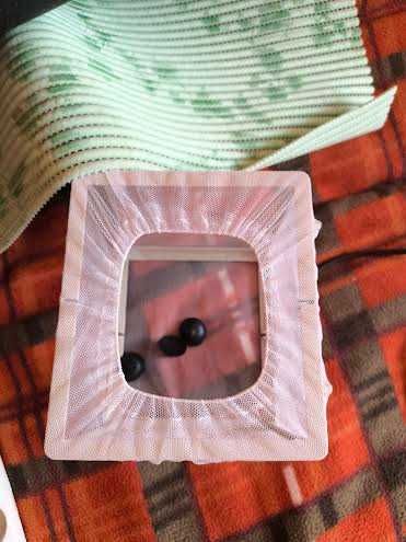 Akwarium narożne  panoram około 180 litrów