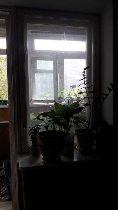 Окно с дверью на балкон