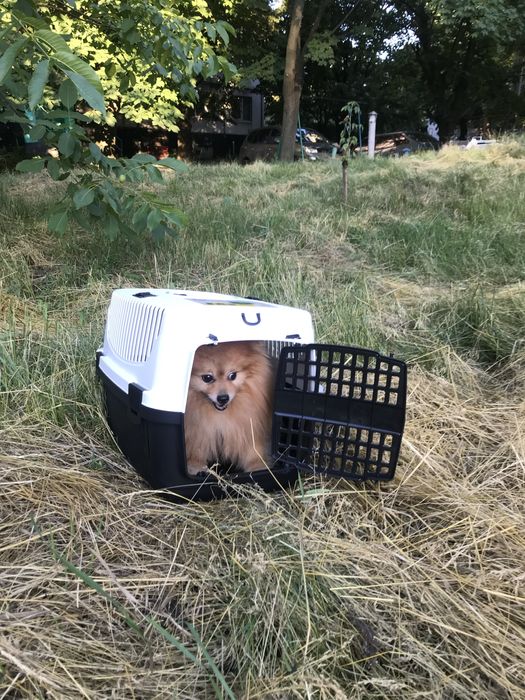 Контейнер переноска для собак и котов PT-105. Опт 380 гр.