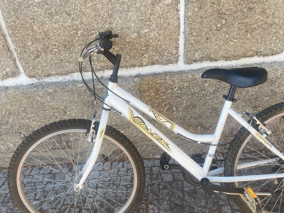 Bicicleta feminina